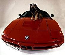 BMW M1